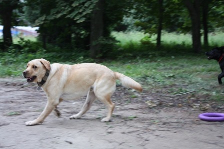 2005354.jpg