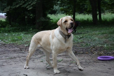 2005359.jpg