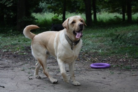2005360.jpg