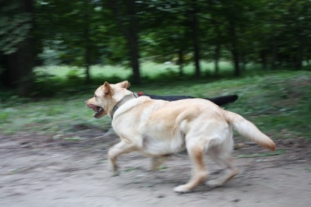 2005363.jpg