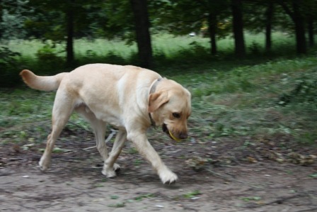 2005364.jpg