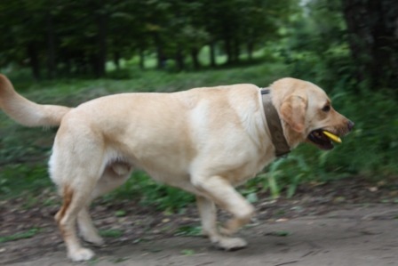 2005365.jpg