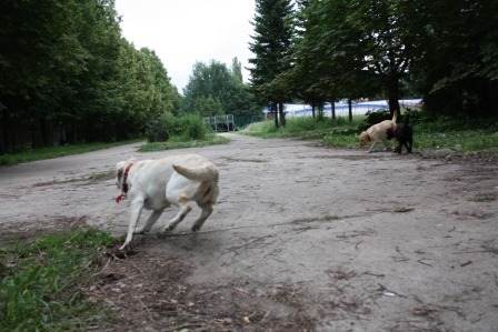2007790.jpg