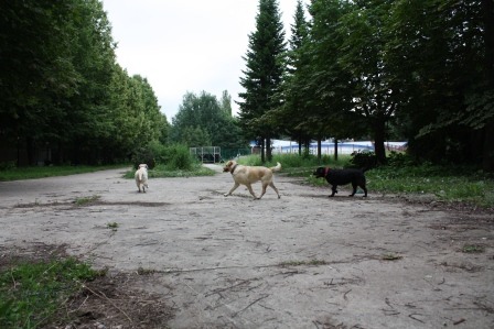 2007794.jpg