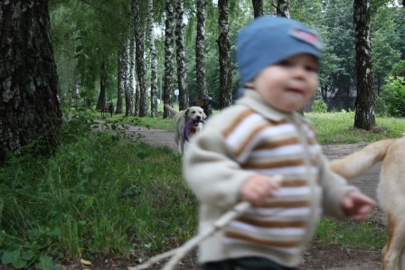 2007866.jpg