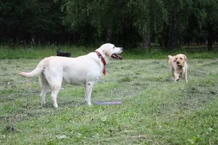2011051.jpg