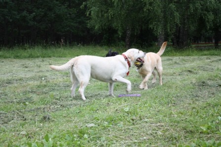 2011054.jpg