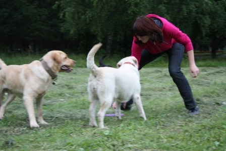 2011055.jpg