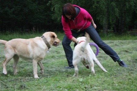 2011057.jpg
