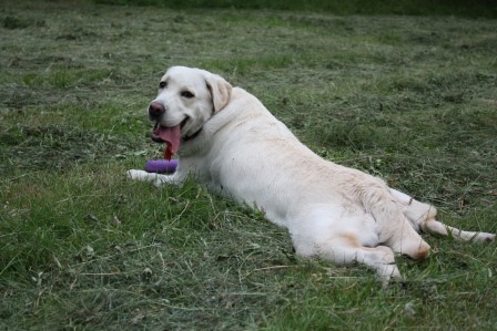 2011074.jpg