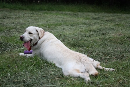 2011077.jpg