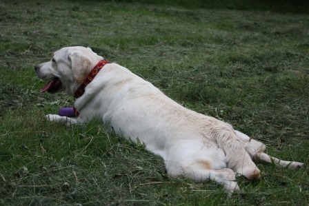 2011078.jpg