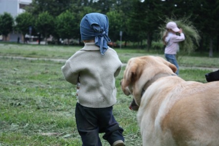2011081.jpg