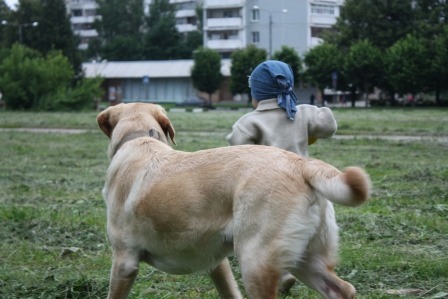 2011085.jpg