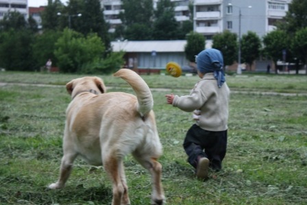 2011087.jpg