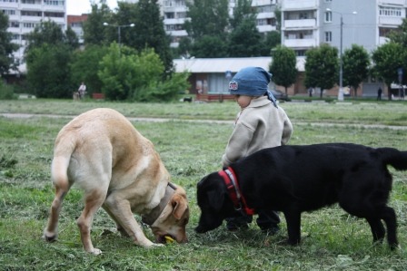2011089.jpg