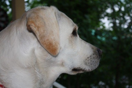 2011132.jpg