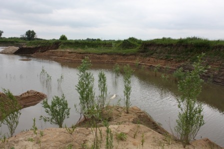 2013726.jpg