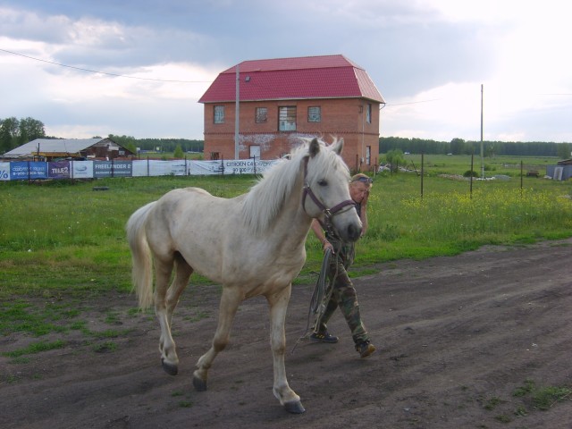 2019496.jpg