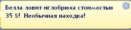 2024457.jpg