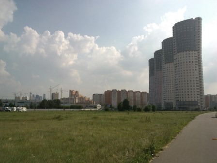 2024636.jpg