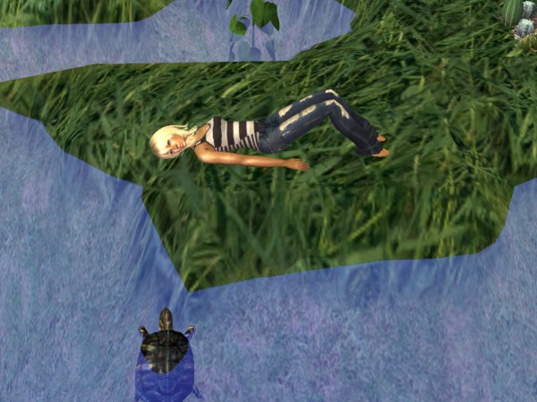 205142.jpg