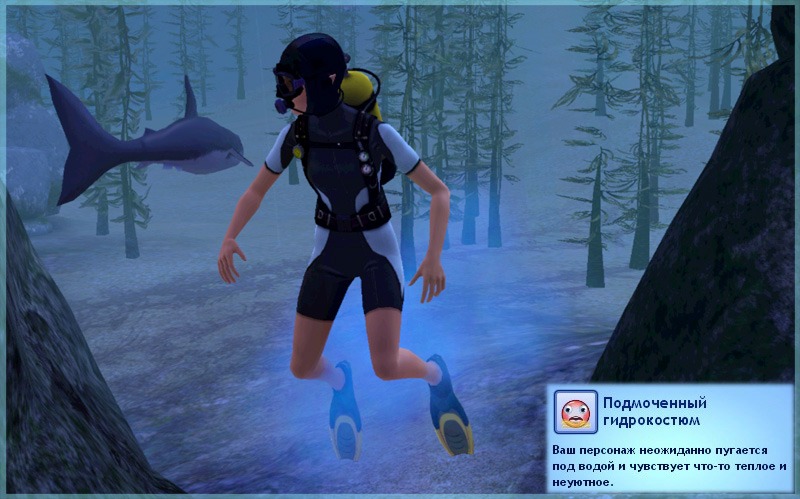 2039217.jpg