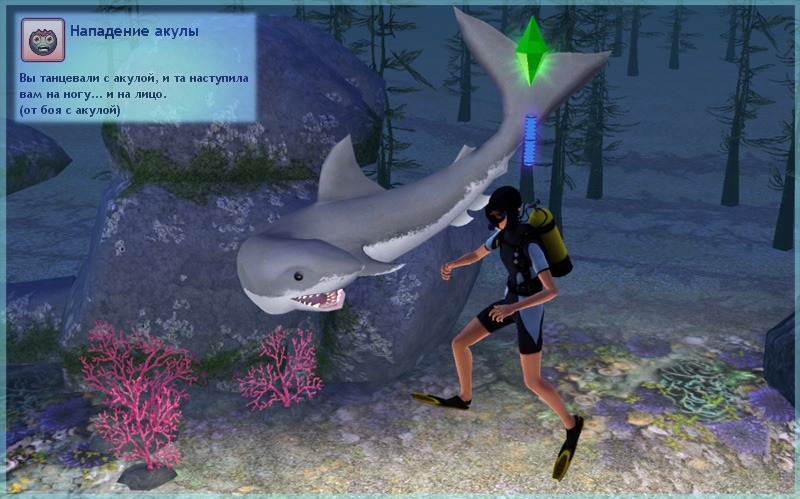 2039218.jpg
