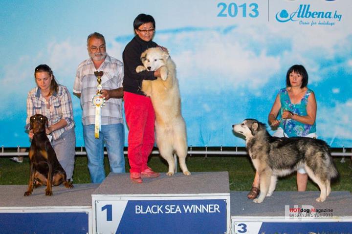 Чемпионат BLACK SEA WINNER 2013 - Страница 3 2040078