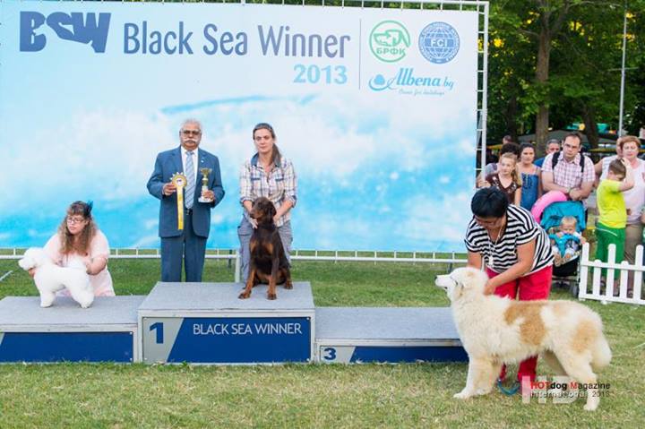 Чемпионат BLACK SEA WINNER 2013 - Страница 3 2040105