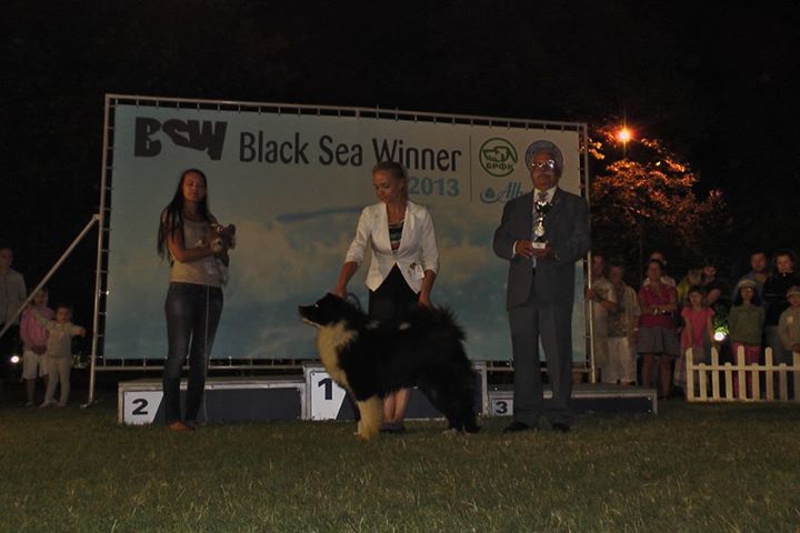 Чемпионат BLACK SEA WINNER 2013 - Страница 3 2040115