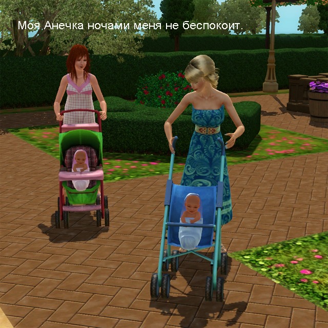 2044206.jpg