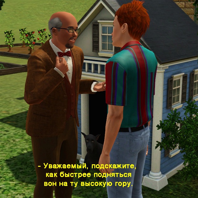 2045855.jpg