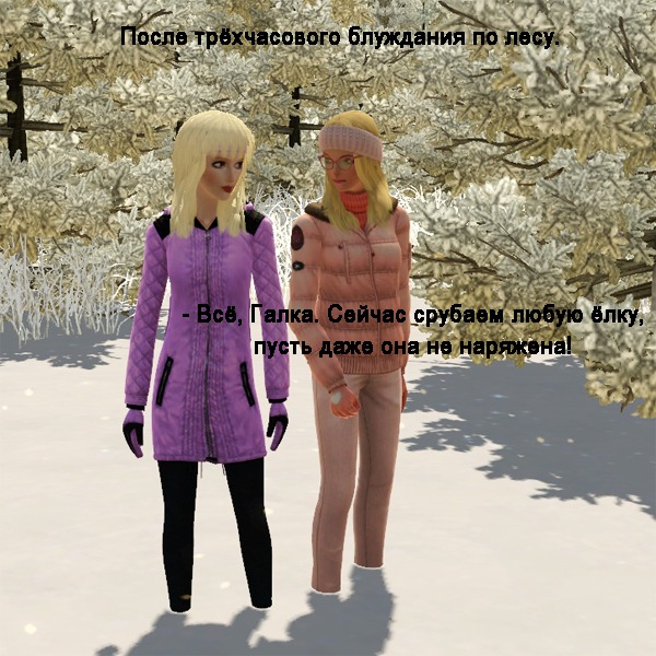 2046768.jpg
