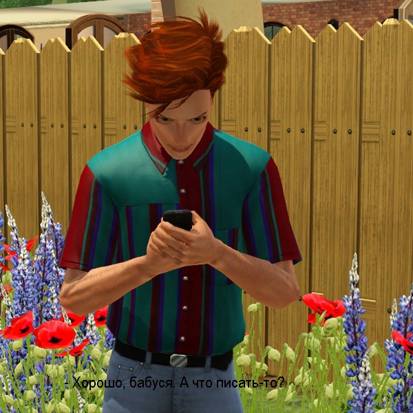 2046984.jpg
