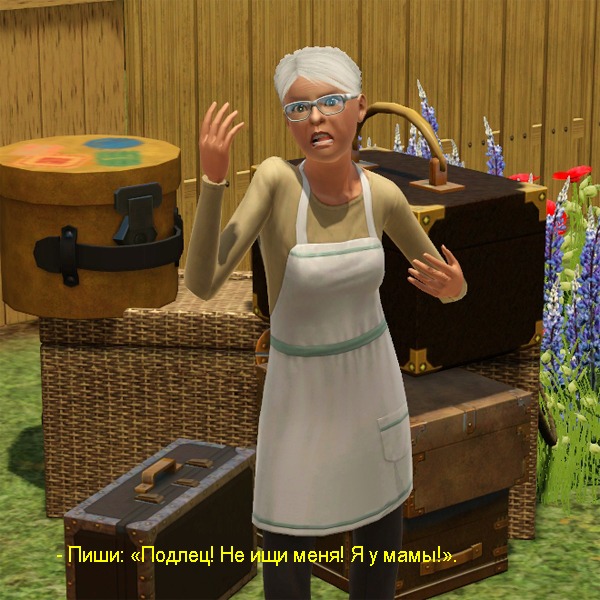 2046986.jpg