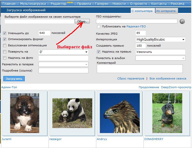 Изображение
