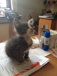 user posted image