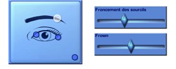2091551.jpg