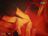 http://4put.ru/pictures/max/684/2101694.gif