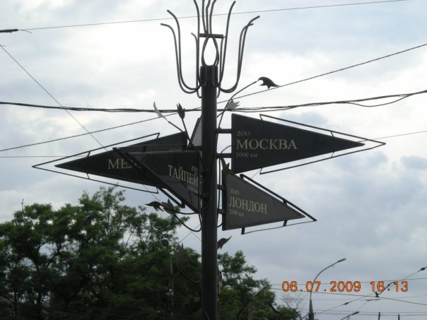 user posted image