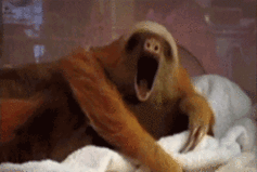 2113854.gif