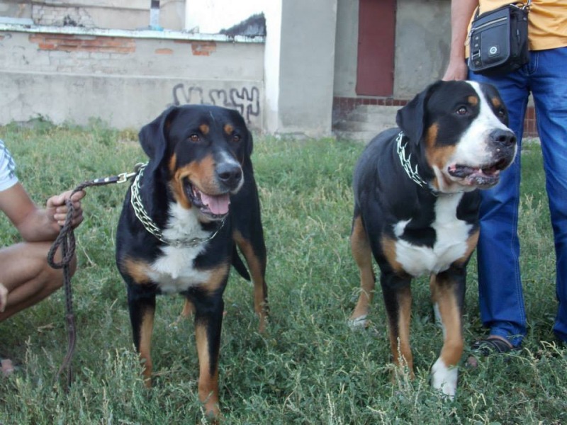 http://4put.ru/pictures/max/705/2166158.jpg