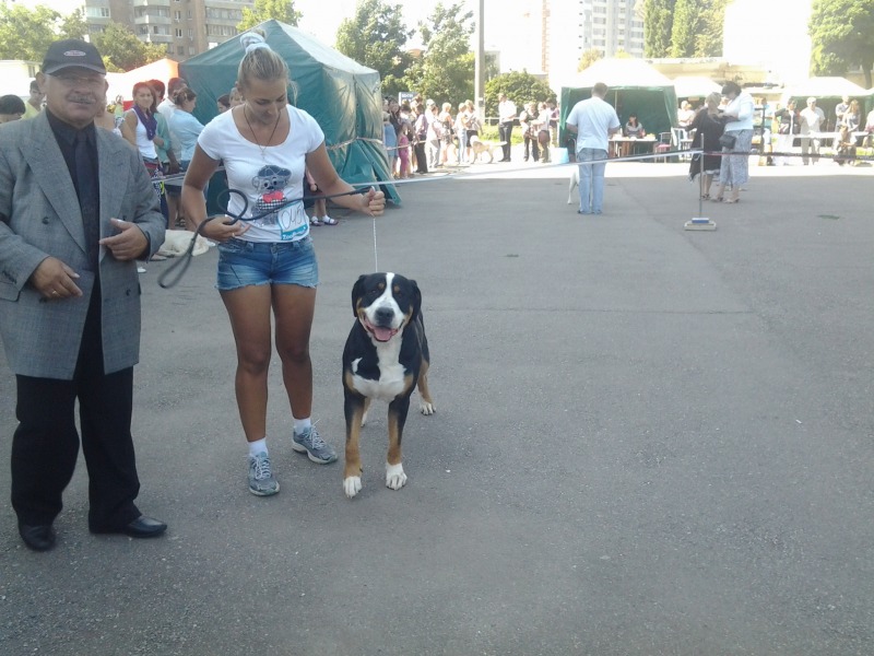 http://4put.ru/pictures/max/705/2166180.jpg