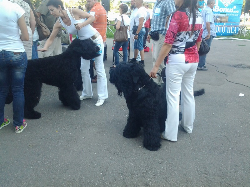 http://4put.ru/pictures/max/705/2166190.jpg