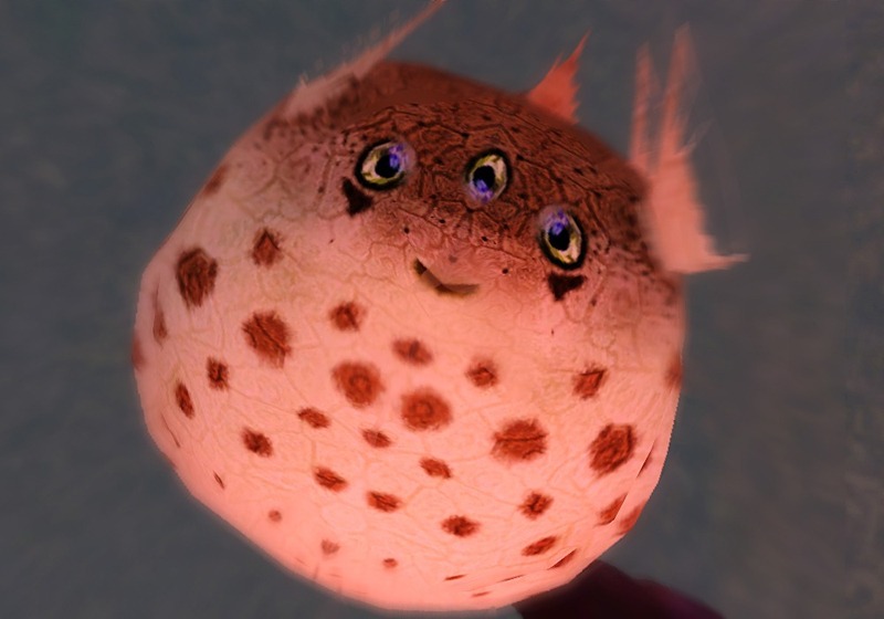 2167332.jpg
