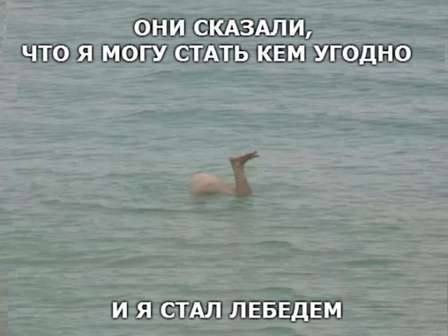 2176866.jpg