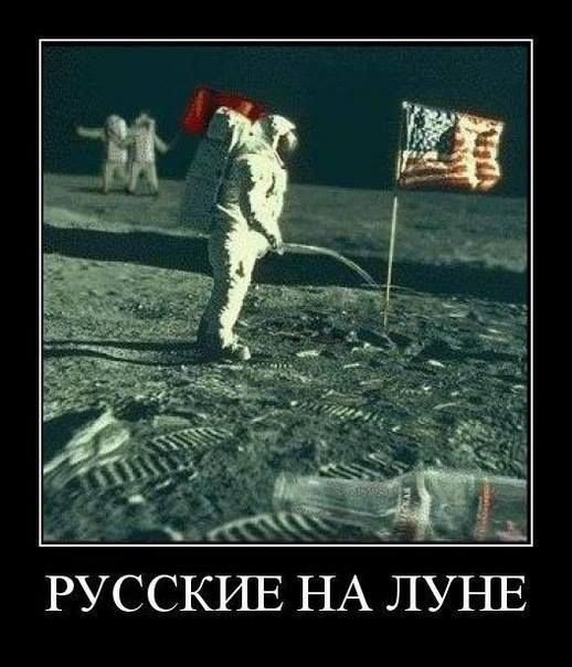 2176876.jpg
