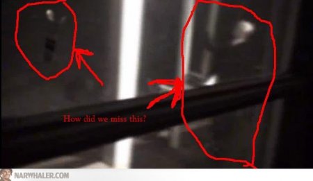 2176902.jpg