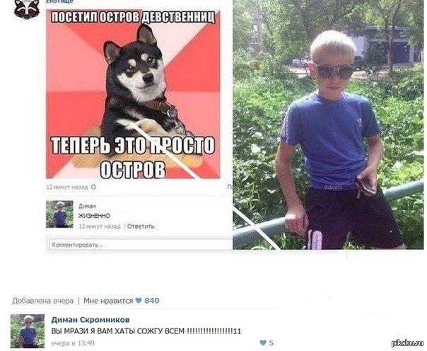2178887.jpg